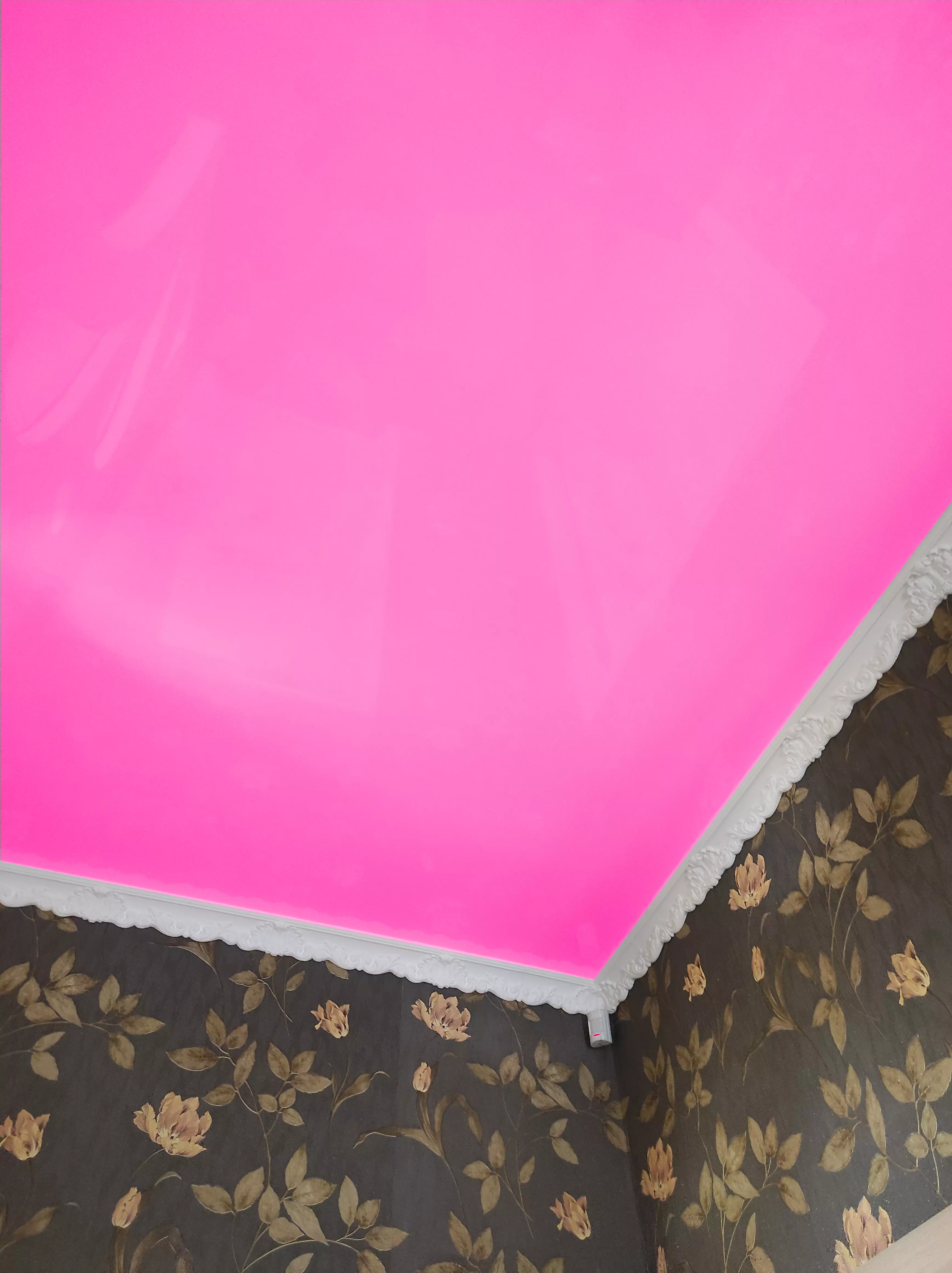 Новосибирск, Новосибирская, 20/1, фото 2