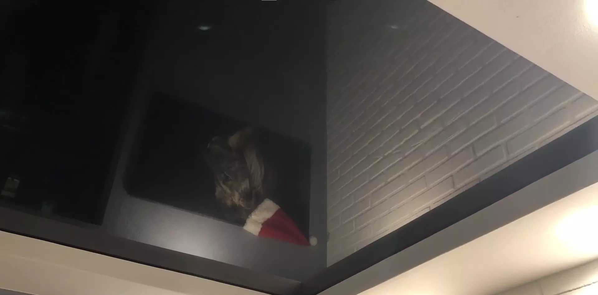 Майкоп, , фото 3